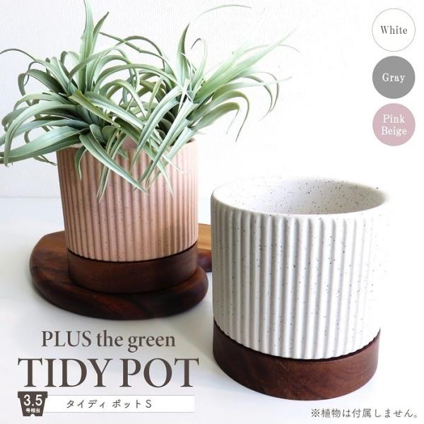 鉢 プランター タイディポット S セラミック 木製受け皿 アカシア クリアラッカー仕上げ 底穴あり...