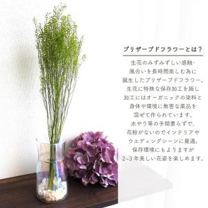 ドライフラワー プリザーブドフラワー ペティー...の詳細画像1