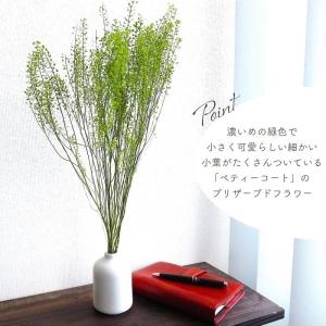 ドライフラワー プリザーブドフラワー ペティー...の詳細画像2