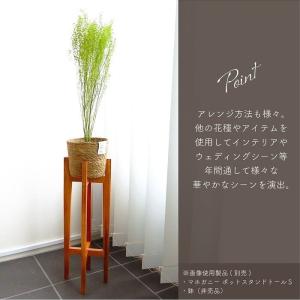 ドライフラワー プリザーブドフラワー ペティー...の詳細画像4
