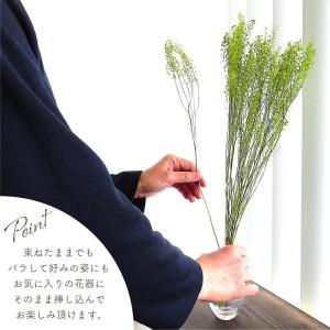ドライフラワー プリザーブドフラワー ペティー...の詳細画像5