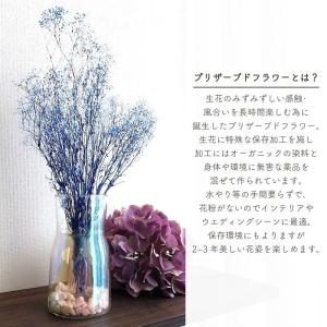 ドライフラワー プリザーブドフラワー ミニカス...の詳細画像1