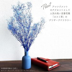 ドライフラワー プリザーブドフラワー ミニカス...の詳細画像2