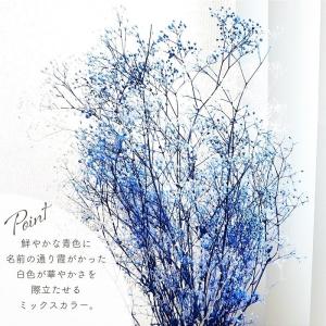 ドライフラワー プリザーブドフラワー ミニカス...の詳細画像3