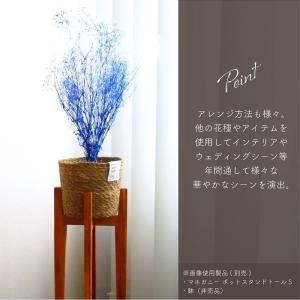 ドライフラワー プリザーブドフラワー ミニカス...の詳細画像4