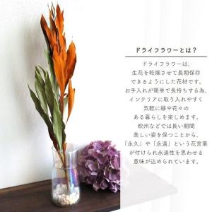 ドライフラワー グレビレア ゴールド 全長約6...の詳細画像1