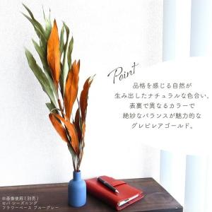 ドライフラワー グレビレア ゴールド 全長約6...の詳細画像2