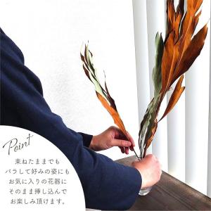 ドライフラワー グレビレア ゴールド 全長約6...の詳細画像5