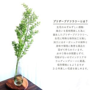 ドライフラワー プリザーブドフラワー ラスカス...の詳細画像1