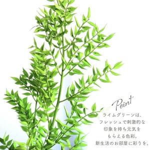 ドライフラワー プリザーブドフラワー ラスカス...の詳細画像3