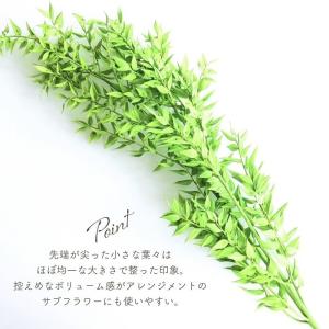 ドライフラワー プリザーブドフラワー ラスカス...の詳細画像4