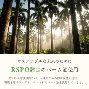 石けん パニエデサンス エッセンシャルズCA ...の詳細画像5