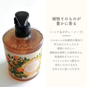 液体石けん パニエデサンス エッセンシャルズC...の詳細画像1