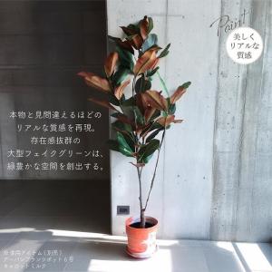 人工観葉植物 アーティフィシャルグリーン フィ...の詳細画像3