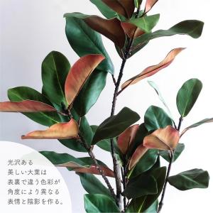 人工観葉植物 アーティフィシャルグリーン フィ...の詳細画像4