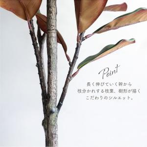 人工観葉植物 アーティフィシャルグリーン フィ...の詳細画像5