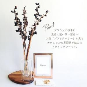 ドライフラワー ブラックベリー ナチュラル 5...の詳細画像2