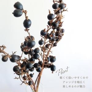 ドライフラワー ブラックベリー ナチュラル 5...の詳細画像4