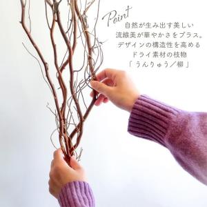 ドライフラワー 雲竜柳 うんりゅう柳 N皮付き...の詳細画像2