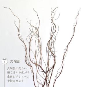 ドライフラワー 雲竜柳 うんりゅう柳 N皮付き...の詳細画像4