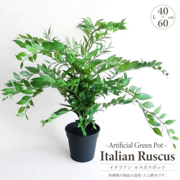 人工観葉植物 アーティフィシャルグリーン イタリアンルスカスポット 高45-60cm ミニツリー 黒...