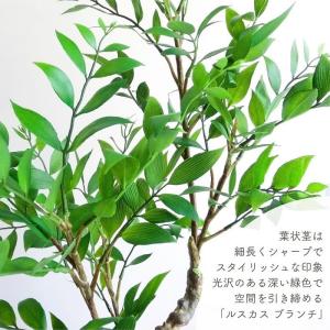 人工観葉植物 アーティフィシャルグリーン ルス...の詳細画像1