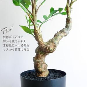 人工観葉植物 アーティフィシャルグリーン ルス...の詳細画像3