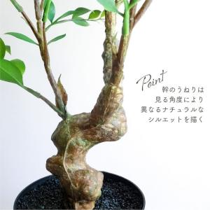 人工観葉植物 アーティフィシャルグリーン ルス...の詳細画像4