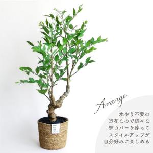 人工観葉植物 アーティフィシャルグリーン ルス...の詳細画像5