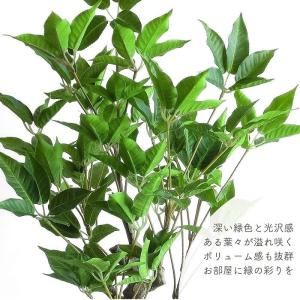人工観葉植物 アーティフィシャルグリーン ボト...の詳細画像2