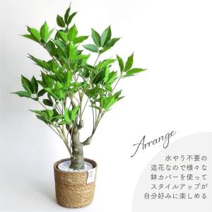 人工観葉植物 アーティフィシャルグリーン ボト...の詳細画像4