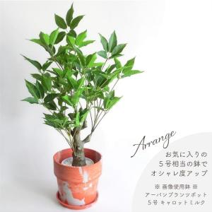 人工観葉植物 アーティフィシャルグリーン ボト...の詳細画像5