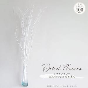 ドライフラワー 三又・みつまた 白 5本入 全長約100cm 大地農園 枝物 枝もの 天然素材 自然素材 ドライ素材 観葉植物 ディスプレイ お洒落 おしゃれ インテリア