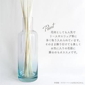 ドライフラワー テールリード 白 10本入 全...の詳細画像4