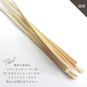 ドライフラワー テールリード 白 10本入 全...の詳細画像5