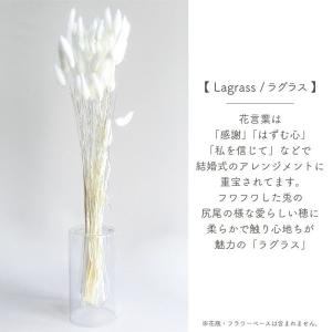 ドライフラワー ラグラス 白15g入 全長約4...の詳細画像1