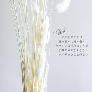 ドライフラワー ラグラス 白15g入 全長約4...の詳細画像3