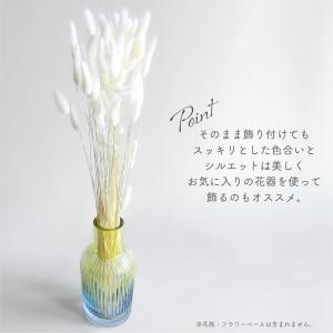 ドライフラワー ラグラス 白15g入 全長約4...の詳細画像4