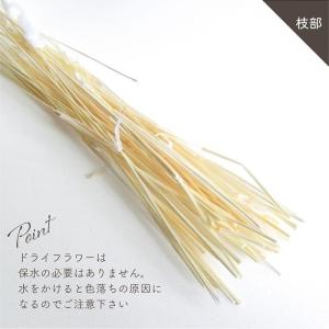 ドライフラワー ラグラス 白15g入 全長約4...の詳細画像5