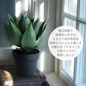 人工観葉植物 アーティフィシャルグリーン アガ...の詳細画像1