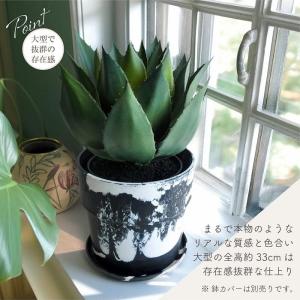 人工観葉植物 アーティフィシャルグリーン アガ...の詳細画像2
