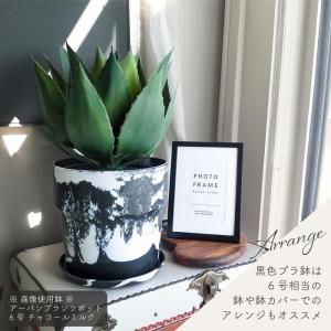 人工観葉植物 アーティフィシャルグリーン アガ...の詳細画像3