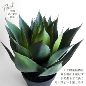 人工観葉植物 アーティフィシャルグリーン アガ...の詳細画像4