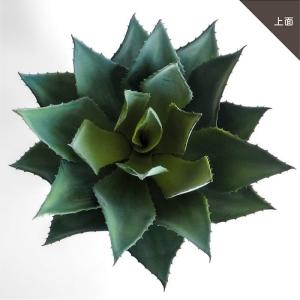 人工観葉植物 アーティフィシャルグリーン アガ...の詳細画像5