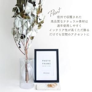 ドライフラワー ギンドロ 風の花 3本入 全長...の詳細画像4