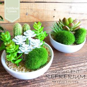 観葉植物 造花 サキュレントリフレリウム ボウル...の商品画像