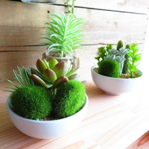 観葉植物 造花 サキュレントリフレリウム ボウ...の詳細画像2