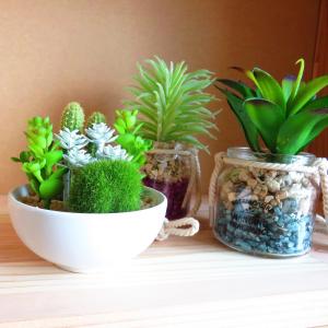 観葉植物 造花 サキュレントリフレリウム ボウ...の詳細画像4