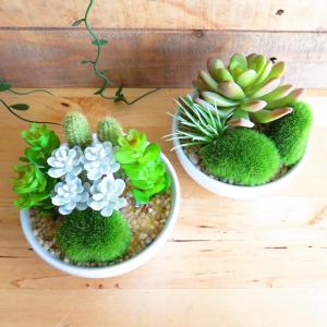 観葉植物 造花 サキュレントリフレリウム ボウ...の詳細画像5