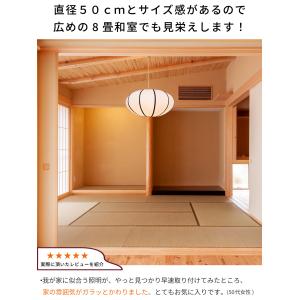 (安心の日本製器具) 電球透けない ペンダント...の詳細画像2